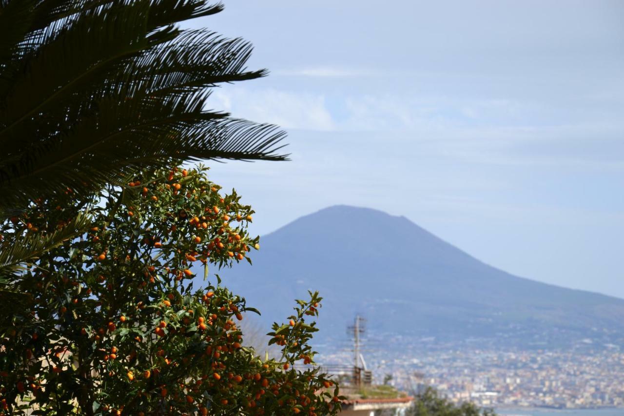 Casa Del Cedro Apartment Napoli Exterior foto